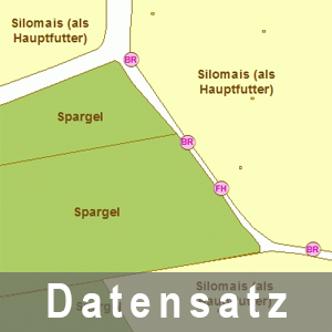Anzeige der Kulturart