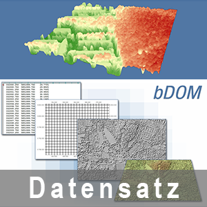 Beispielgrafik einer RGB-kolorierten bDOM-Punktwolke